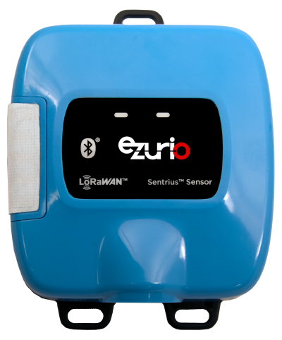 Sentrius RS1xx Ext Temp 1W Sensor